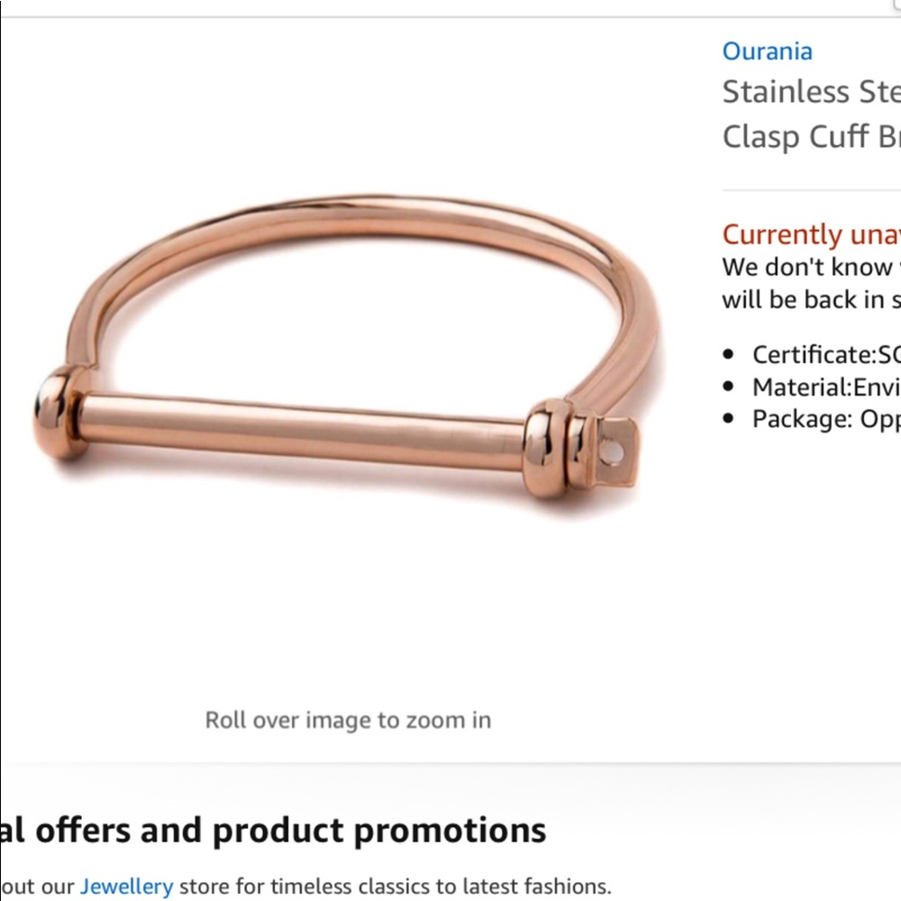 Shackle Bracelet